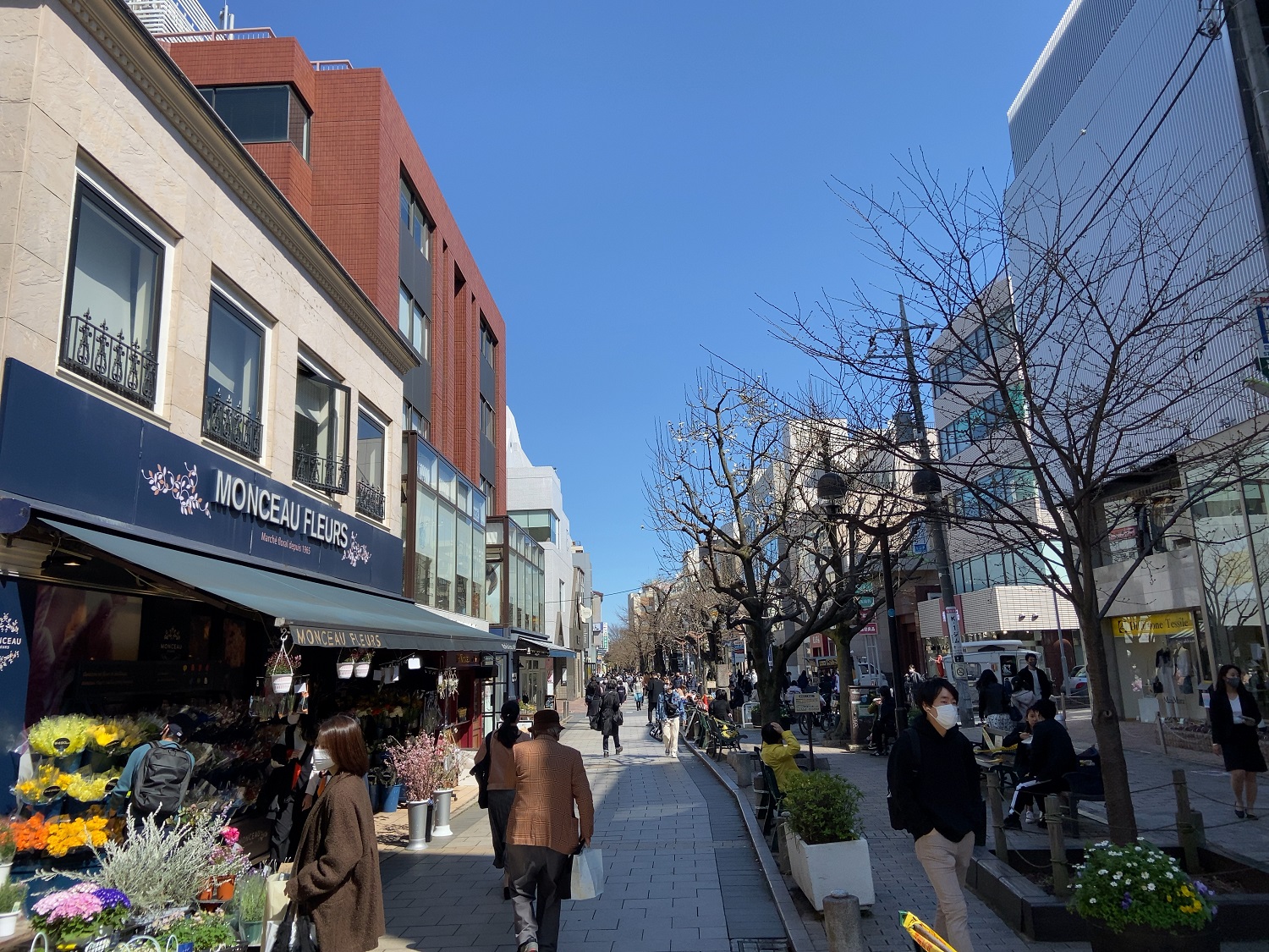 自由が丘なう 自由が丘の魅力を自分の体験を通して発信する地域情報メディア