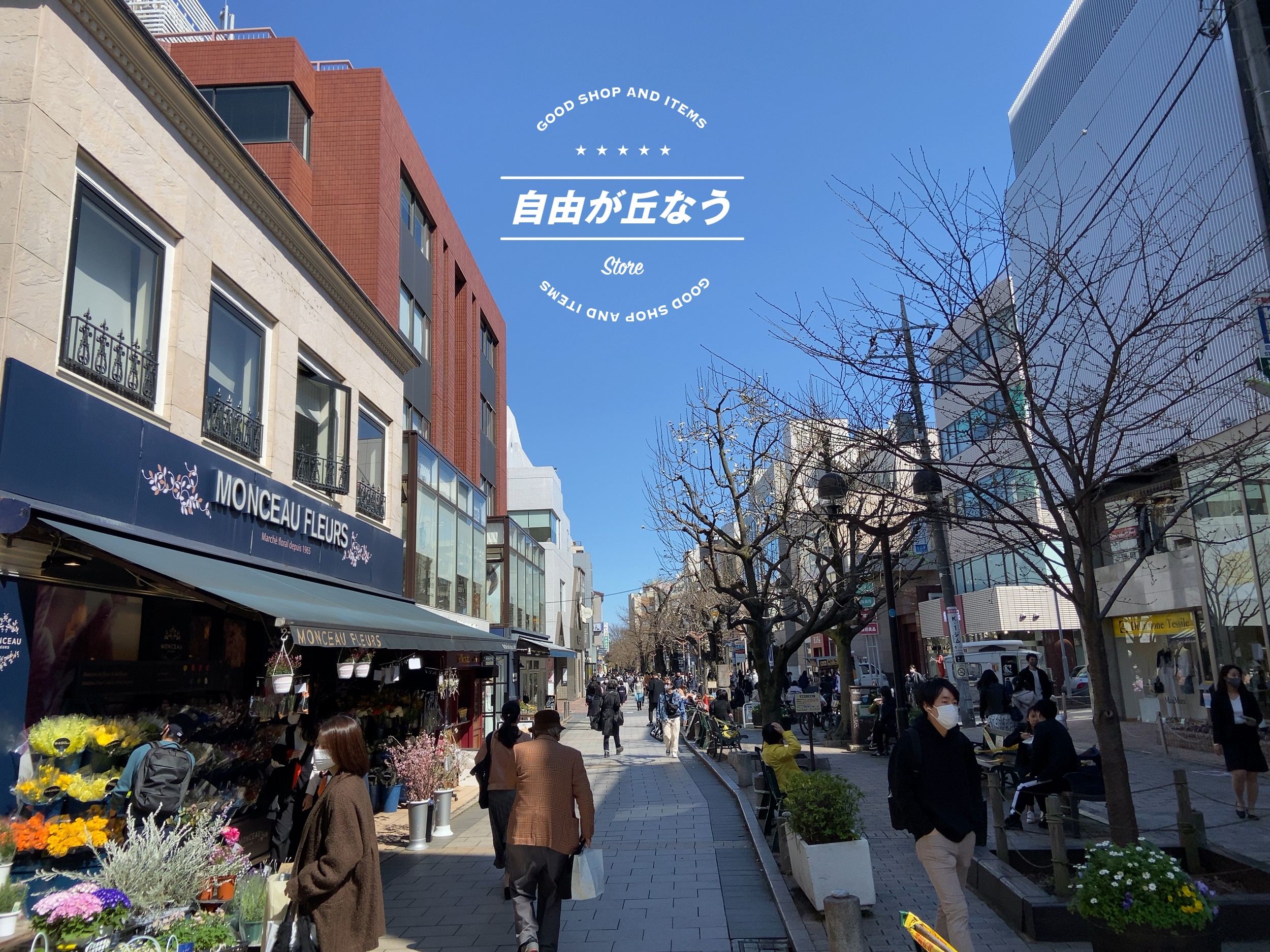 活動歴および当時の関連ビジュアル記録